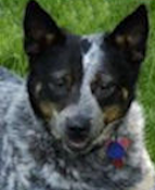 Sadie U'Ren (Security)