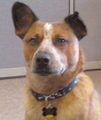 Winston U'Ren (Head of Security)